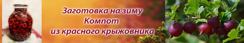 Рецепт компота из крыжовника на зиму